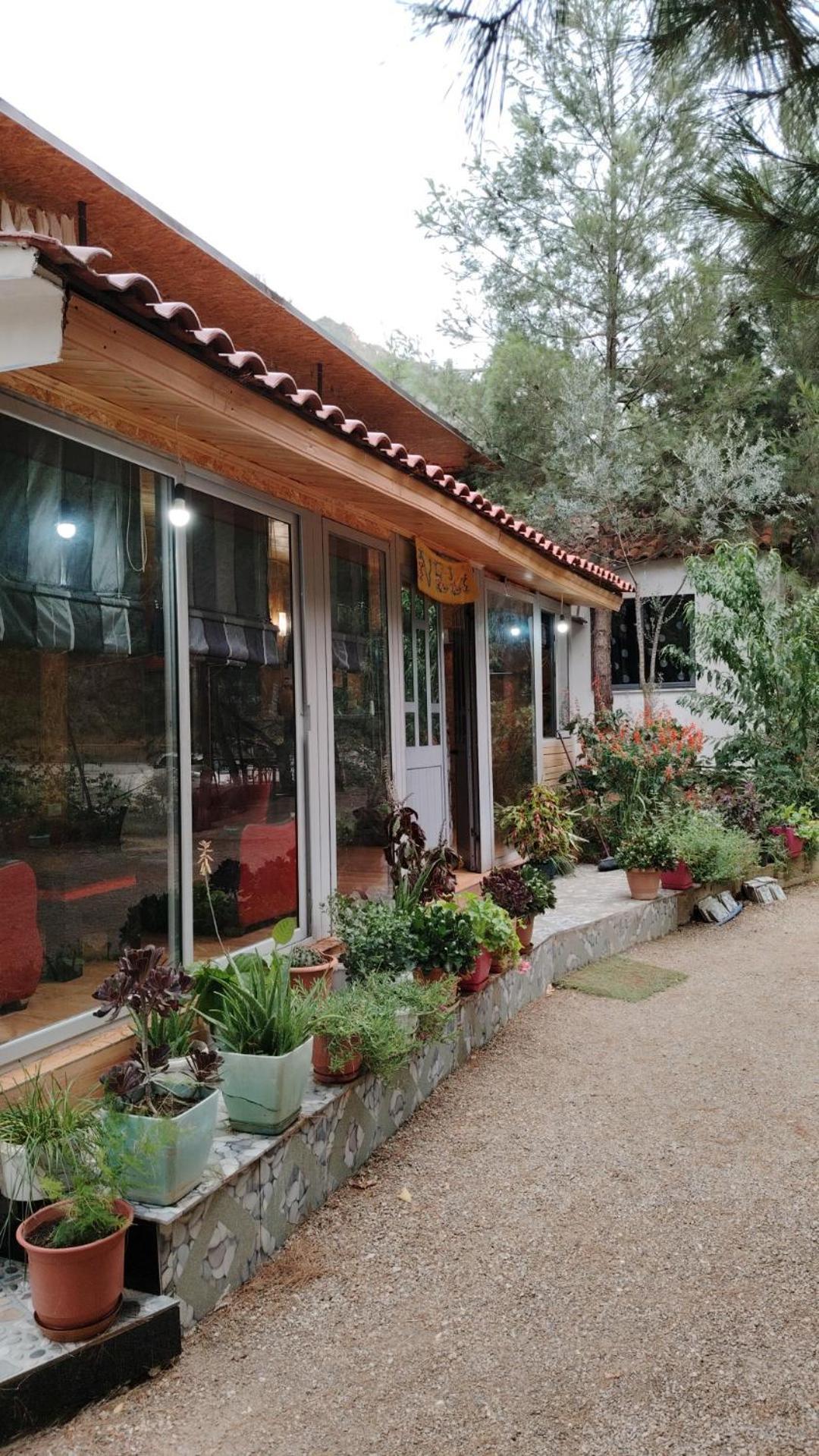 Bovilla Canyon Dajti 외부 사진